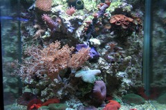 Killikus&reg; Fotographie